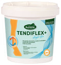 Argile RAVENE -Tendiflex +
