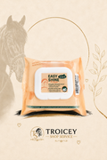 Easy shine wipe RAVENE - Lingettes nettoyantes