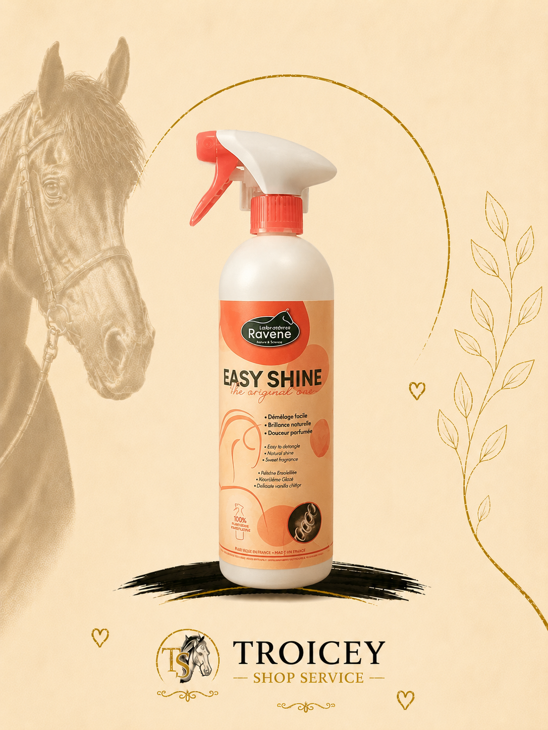 Easy shine RAVENE
