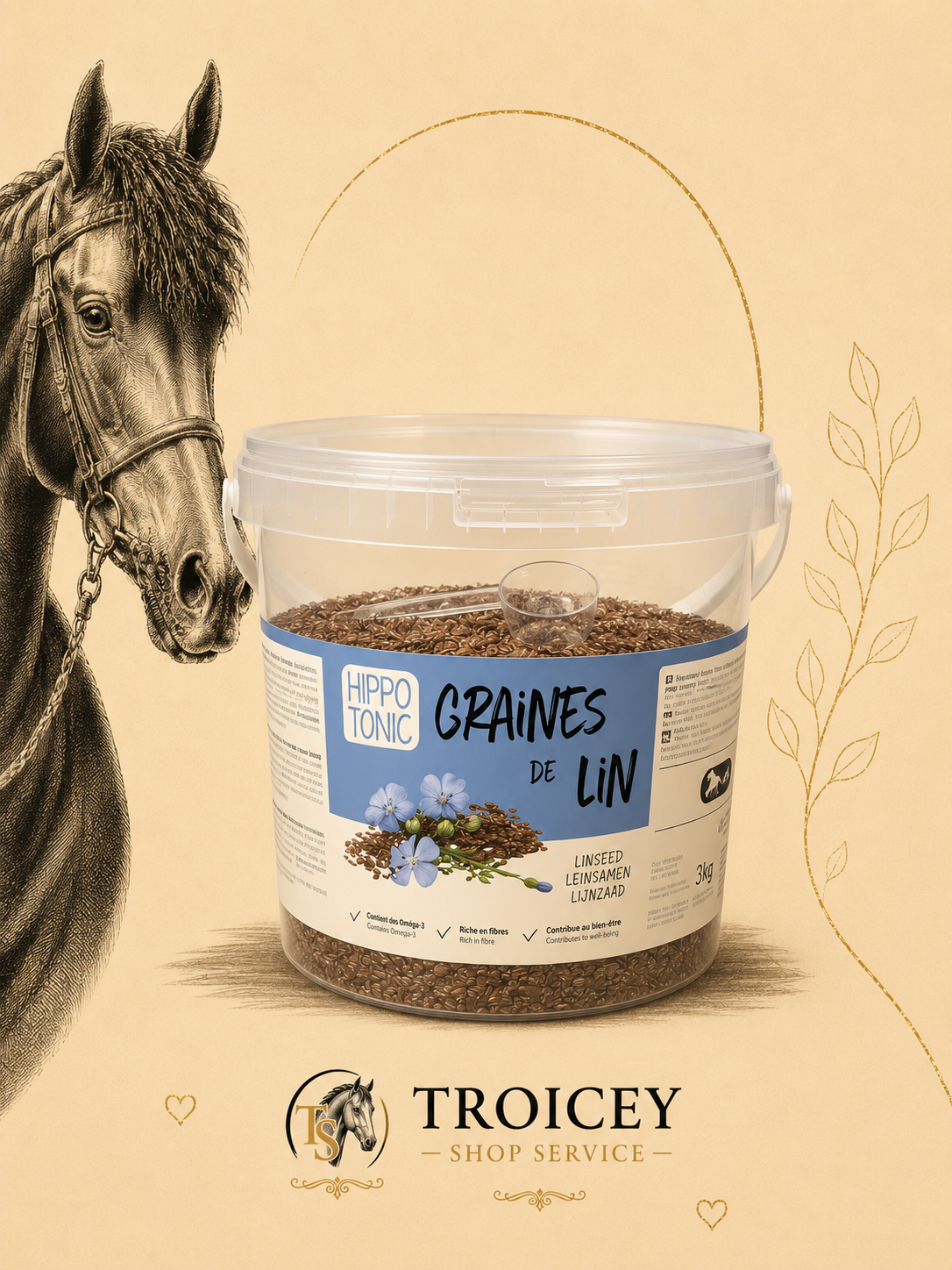 Graines de lin HIPPOTONIC